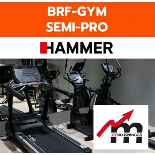 BRF Gym Hammer