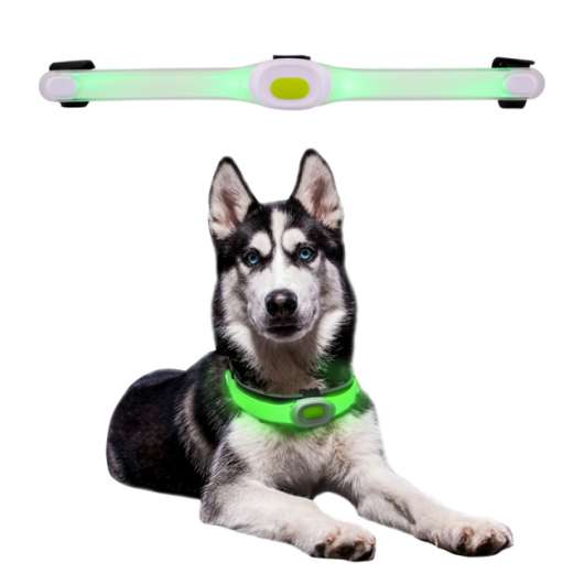 LED-ljus för hundhalsband Maxi