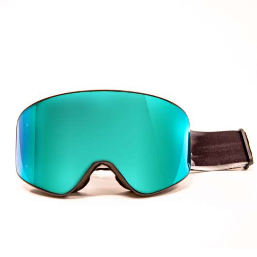 skid- och snowboardglasögon vuxen och jr g 500 ph alla väder svart