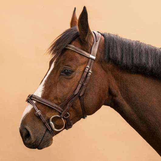 Träns Läder Engelsk Nosgrimma - 900 - Häst Och Ponny Mörkbrun