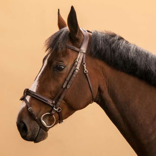 Träns Läder Engelsk Nosgrimma Glossy - 580 - Häst Och Ponny Brun