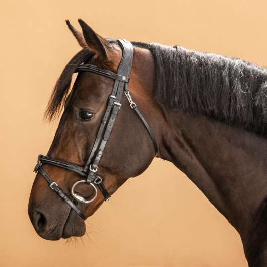 Träns Läder Engelsk Nosgrimma Med Söm - 580 - Häst Och Ponny Svart
